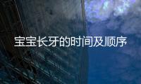 宝宝长牙的时间及顺序